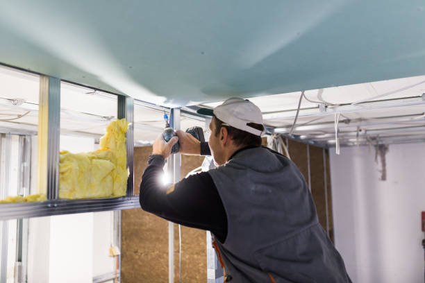 Best Insulation for Specific Applications in Venice Gardens, FL