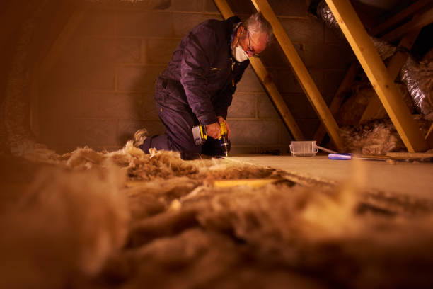 Best Residential Insulation in Venice Gardens, FL